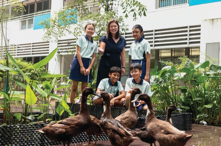 How this Science educator got all her ducks in a row with sustainability 