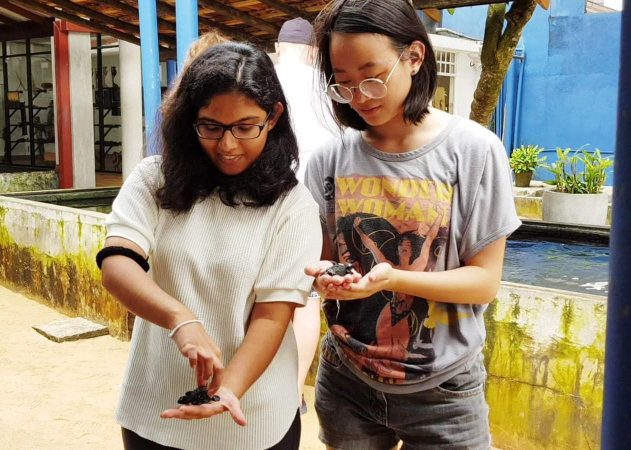 A Love for History, A Dream for Science