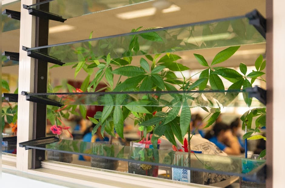 Welcome to secondary school, here’s a plant