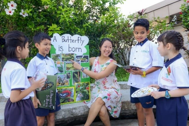 Caterpillars and chrysanthemum