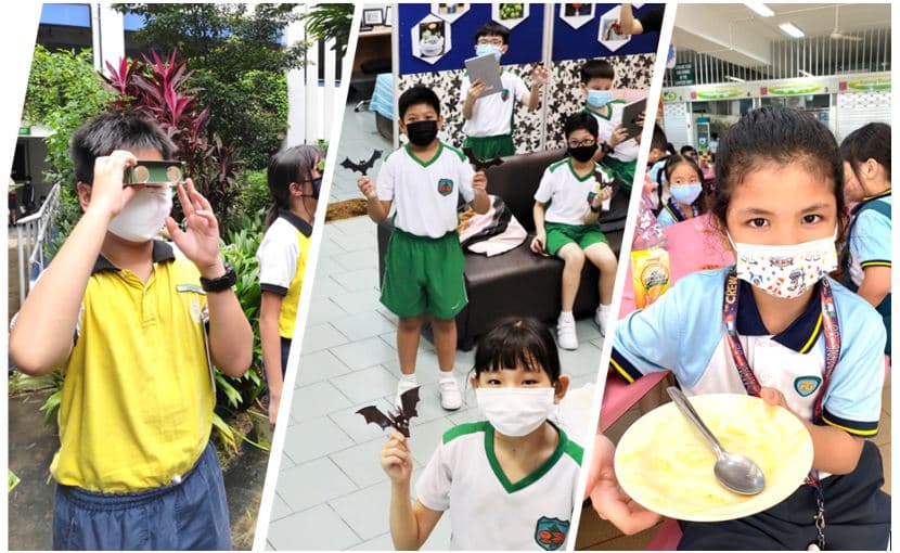 Fresh ideas for sustainability