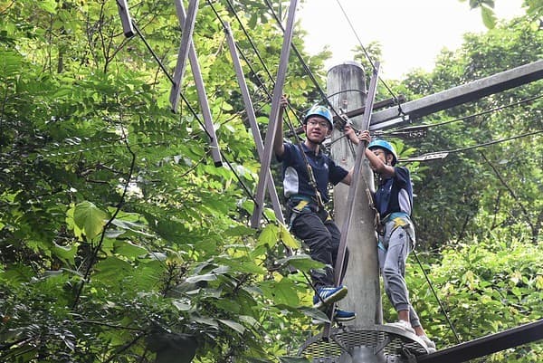 Resuming CCAs safely – why it matters