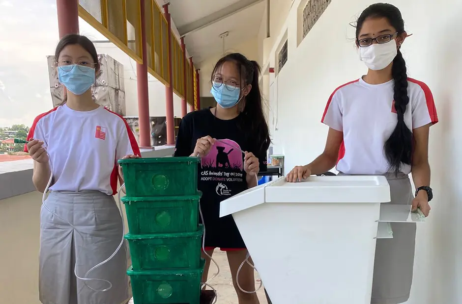 Student inventions to solve environmental problems