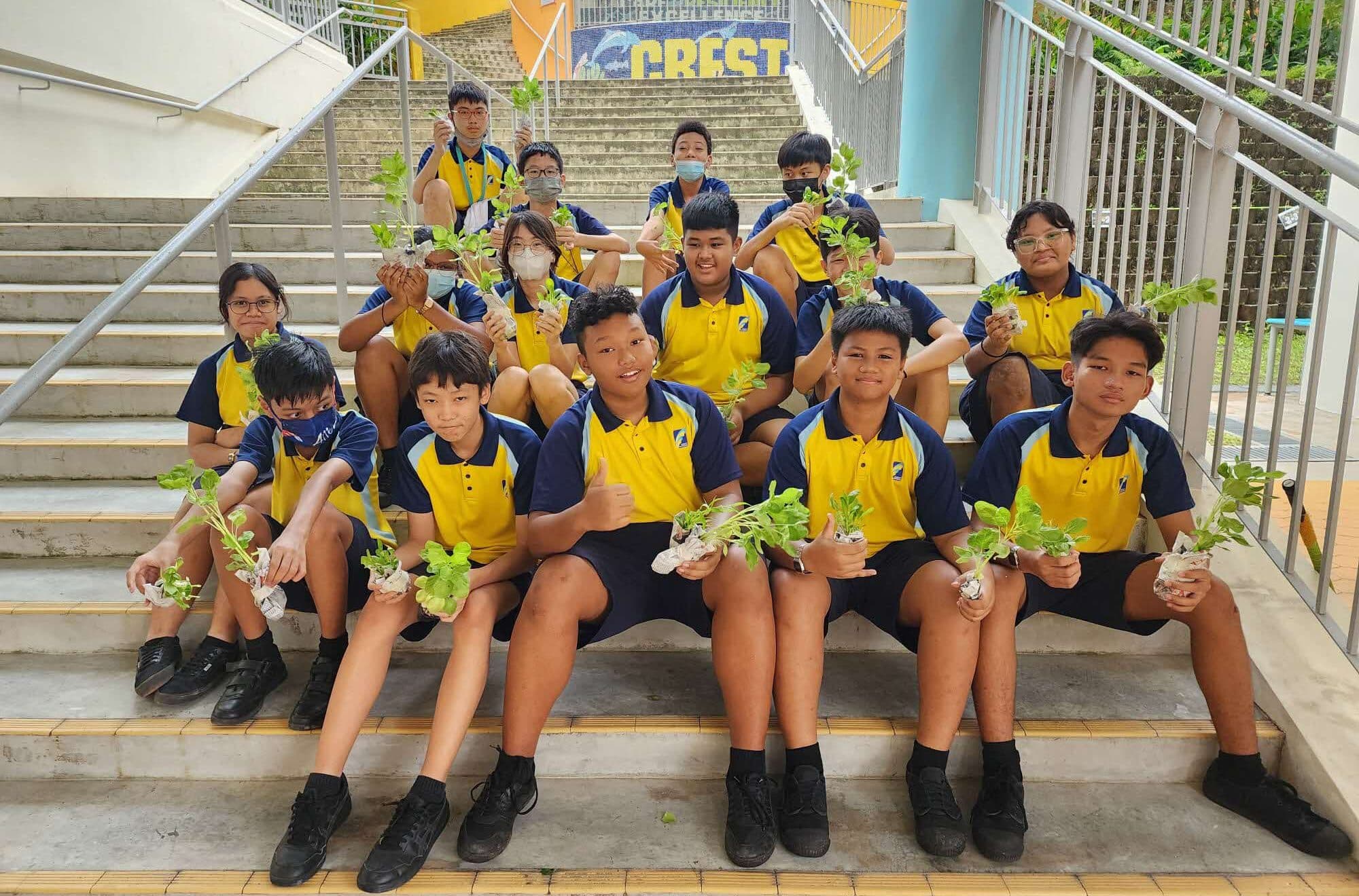 Watch: Plant a bookmark? Discover cool sustainability projects in schools