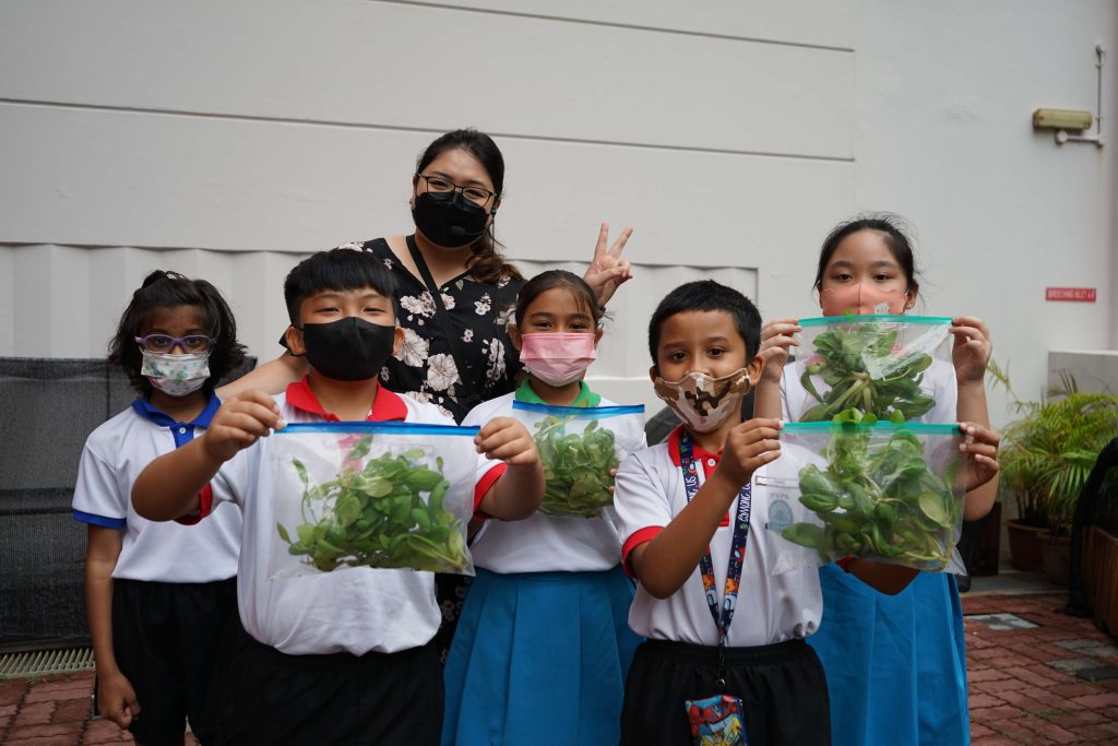 P3-IPW_ALP-Growing-vegetables-and-learning-about-sustainability-1024x683.jpg