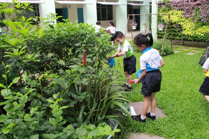 Primary 1 students at Anchor Green Primary School “adopt” a part of the school’s eco-garden and help to look after the plants there. (Photo: Anchor Green Primary School)