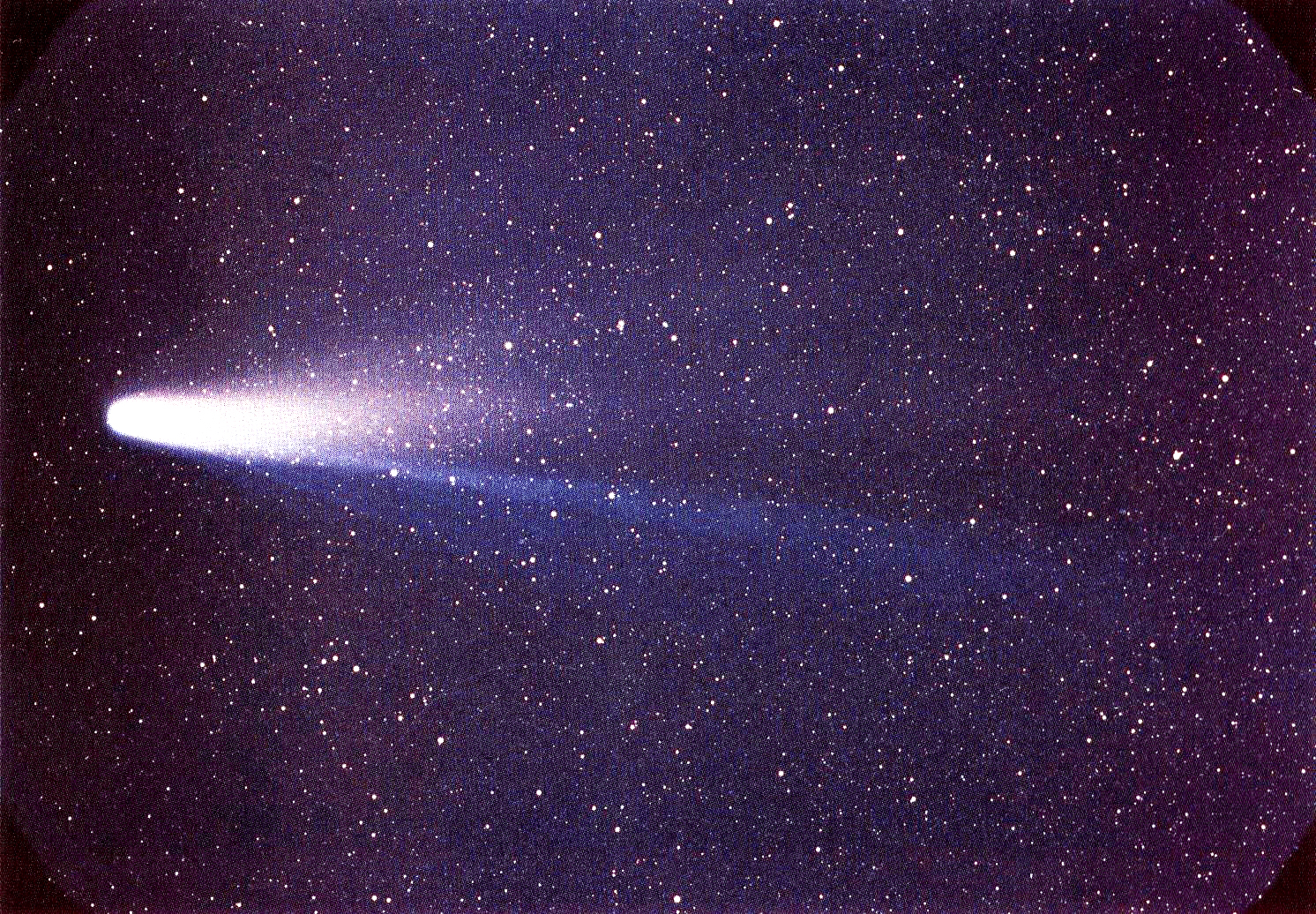 Comet 1P/Halley as taken on March 8, 1986 by W. Liller, Easter Island, part of the International Halley Watch Large Scale Phenomena Network. (Image credit: NASA.W. Liller / Public domain)
