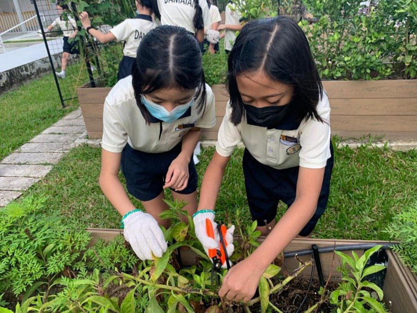 Eating your way through school: This edible garden gets students thinking and learning about sustainable living the hands-on way