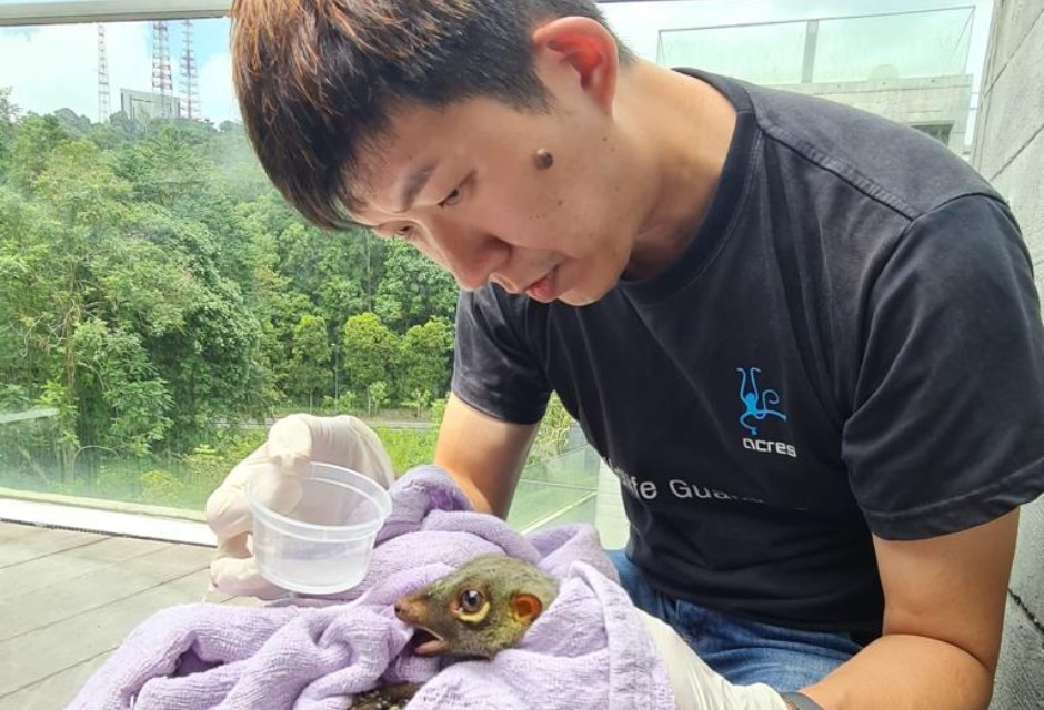 Native wildlife and second chances_This teacher rescues animals and upcycles waste_pic 3