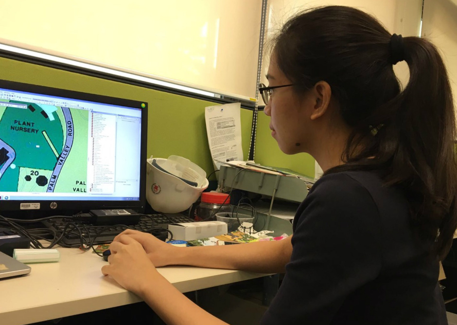 During her work attachment with the National Parks Board, Geography student Foong Ru Hui learnt to use Geographic Information Systems (GIS) to make maps.