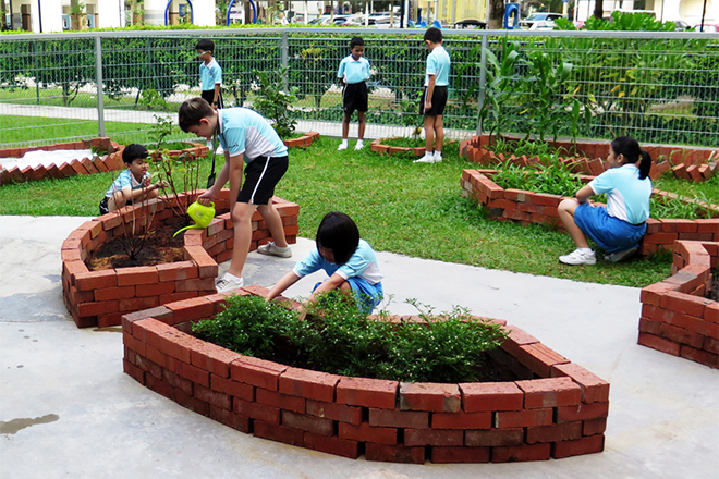 Students in Green Market CCA tending to the plants as part of their weekly activities. Photo credit: Eunos Primary School