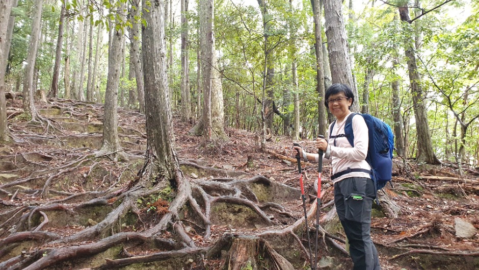 Mrs Koh Ai Lay trekking the Kumano Kodo Nakahechi trail in Japan.