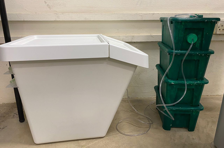 The Earthlings' prototype